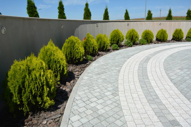 Reasons to Select Us for Your Driveway Paving Requirements in Cumberland, MD
